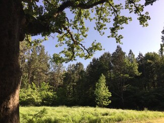 1351 Huckleberry Trail SW, Bogue Chitto, MS 39629