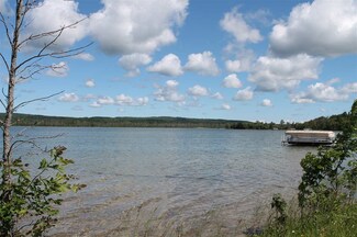 6185 Summerside Dr Unit 3, Alanson, MI 49706