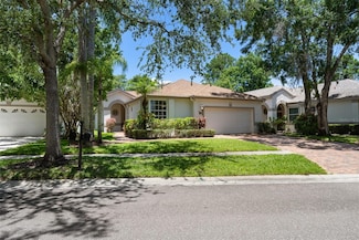 12209 Glencliff Cir, Tampa, FL 33626