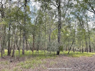 0 Road 2613 Unit 47992220, Cleveland, TX 77327