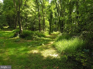 242 Cherry Ln, Bluemont, VA 20135