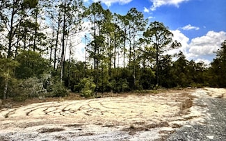 417 + 421 Chiles Dr, Lake Placid, FL 33852