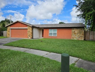 1301 Blossom Brook Ct, Brandon, FL 33511