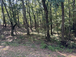 Lot 15 Oversee Ct, Midland, GA 31820
