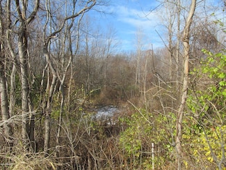 0 W Marquette Woods Rd Unit 10057574, Stevensville, MI 49127