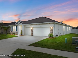 3728 Autumn Amber Dr, Spring Hill, FL 34609