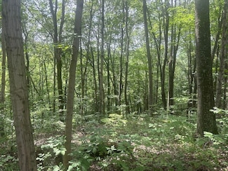 0 Acres Crawford Ln Unit LotWP001, New Concord, OH 43762