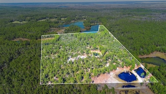 0 Deep Woods Rd Unit MFRV4945611, Paisley, FL 32767