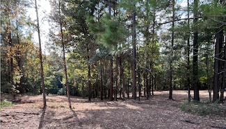 25 Cheyenne Cir, Purvis, MS 39475