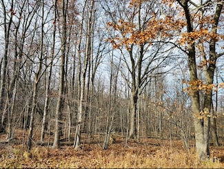 0 N Waldo Unit 50194717, Midland, MI 48642