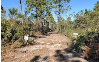 0 County Line Rd Unit 123994, Lee, FL 32059