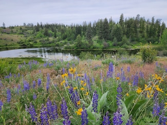 84 Wannacut Lake Rd, Tonasket, WA 98855