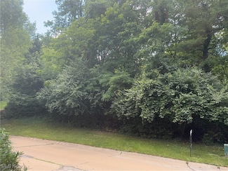 0 Belleau Wood Dr, Akron, OH 44303