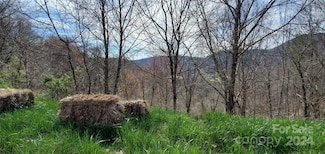 9999 Sunset Falls Dr, Clyde, NC 28721