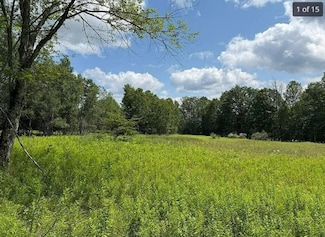 125 Dimmick Mountain Rd, Middletown, NY 12430