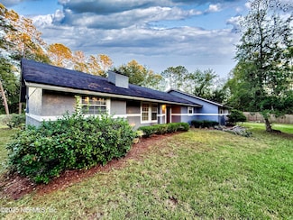 16 N Dolphin Ave, Middleburg, FL 32068
