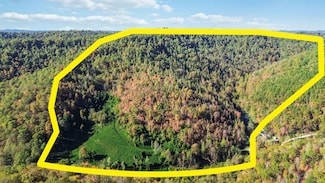 184 Ancient Springs Dr, Hinkle, KY 40953