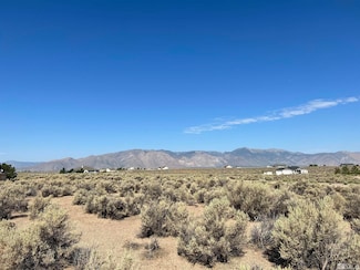 75 Desert View, Smith, NV 89430