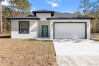 18384 Macek Rd, Brooksville, FL 34614