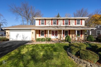 469 Staunton Rd, Naperville, IL 60565