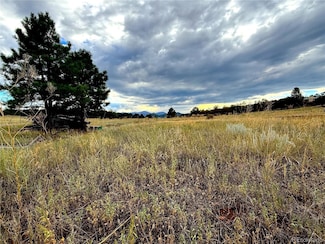 0 Trail, Cotopaxi, CO 81223