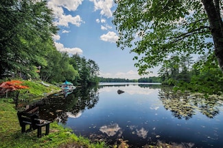 113 New Hampshire Dr, Webster, NH 03303