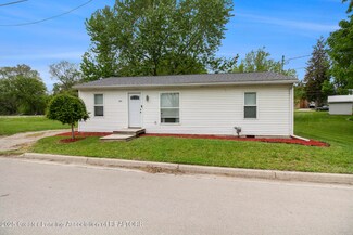 224 S Laing St, Laingsburg, MI 48848
