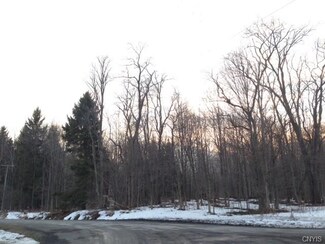 0 Dresser Rd Unit S354402, Summerhill, NY 13092