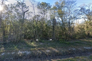 10535 Erickson Ave, Flagler Estates, FL 32145