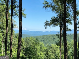 245 Smokerise Ct, Ellijay, GA 30536