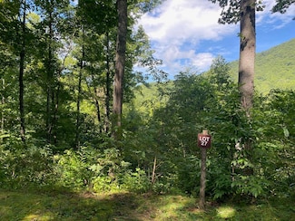 0 Grouse Haven Ln Unit 26031572, Sylva, NC 28779