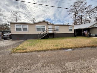 32000 Tetanne Dr, Springfield, LA 70462