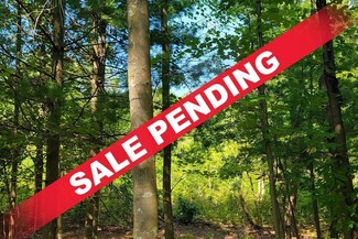 Lot 2 810th St, Sand Creek, WI 54765