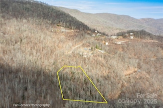 9 Chandra Ln, Clyde, NC 28721