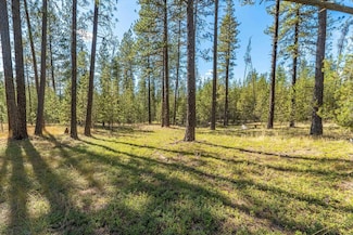 3792 W Jump Off Joe Rd Unit P, Valley, WA 99181