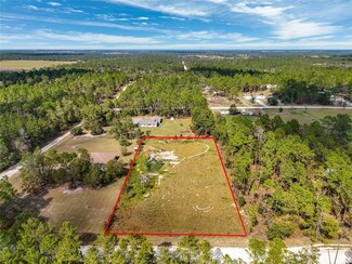 000 SE 8th St, Williston, FL 32696