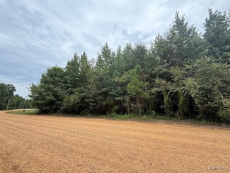 0 Twin Rivers Dr Unit 579474, Orrville, AL 36767