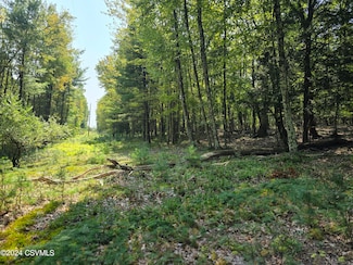 0 Beech Glenn Rd, Pine Township, PA 17814