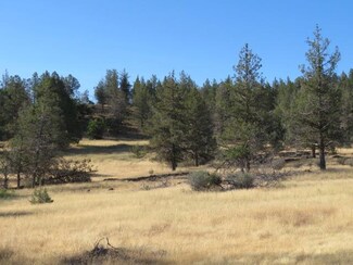 U-4 Lot 28 Whitepine Rd Unit 4, Hornbrook, CA 96044