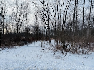 0 Rich's Corners Rd, Albion, NY 14411