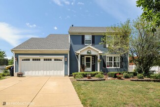 3002 Carlyle Ct, New Lenox, IL 60451