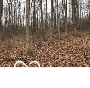 5216 Orange Grove Rd, Gosport, IN 47433