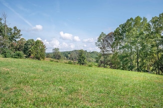 365 Pinnacle Ln, Meadows of Dan, VA 24120