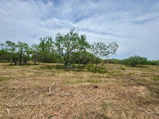 Tbd County Road 171, Nixon, TX 78140
