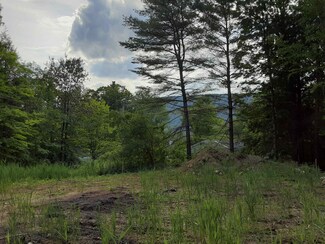 00 Pine View Ln Unit Lot 3, Cavendish, VT 05153