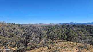 4 County Rd Unit 8030, Concho, AZ 85924