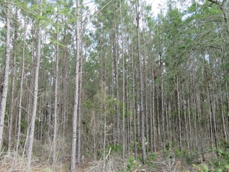 0 Florida 24 Unit 20150276, Otter Creek, FL 32621