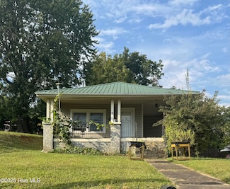 175 Blue Ridge St, Marion, NC 28752