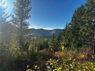 Old Cc Rd, Addy, WA 99101