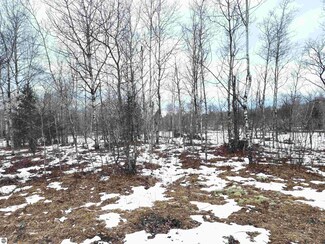 LOT 488 Manistee Heights Dr, Mancelona Township, MI